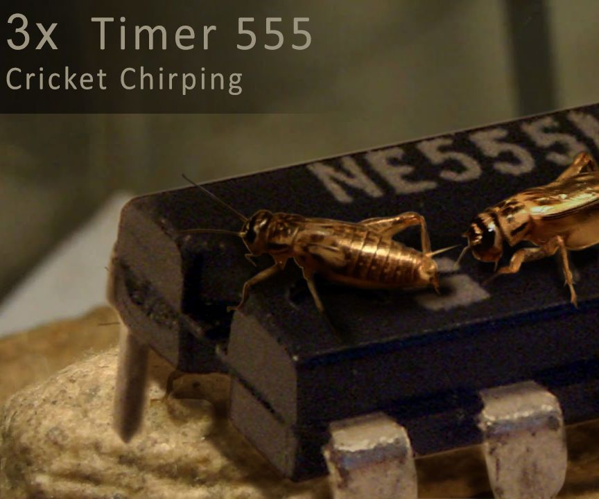 Timer 555 Cricket Chirping