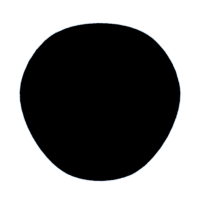 download {{ file.name }}