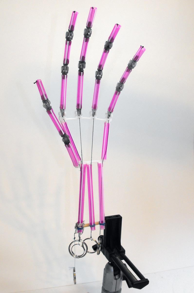 Spring Loaded Drinking Straw Hinges