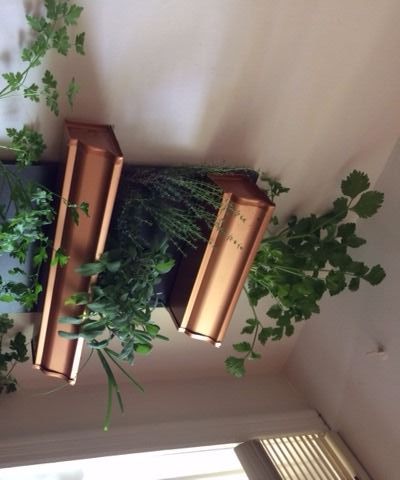 Indoor Herb Garden Shelf