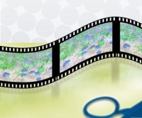 How to Trim MP4 Files for Free?