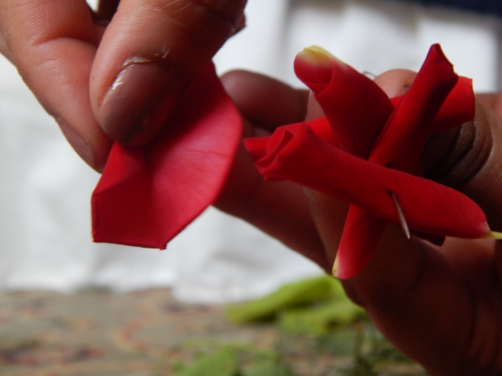 Aggregate more than 68 rose petal garland for hair super hot in.eteachers