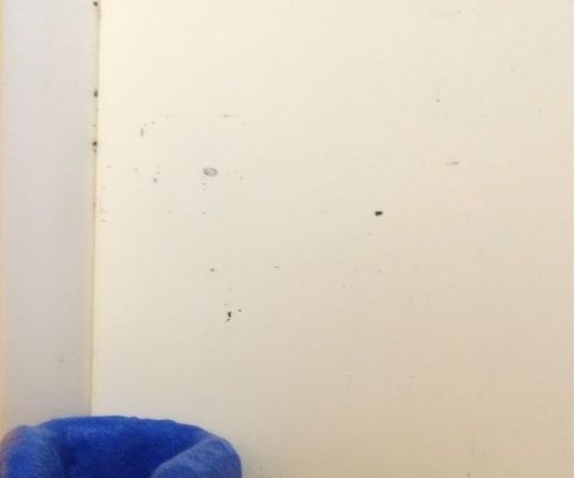 For beginners: create a Whiteboard Pen Holder