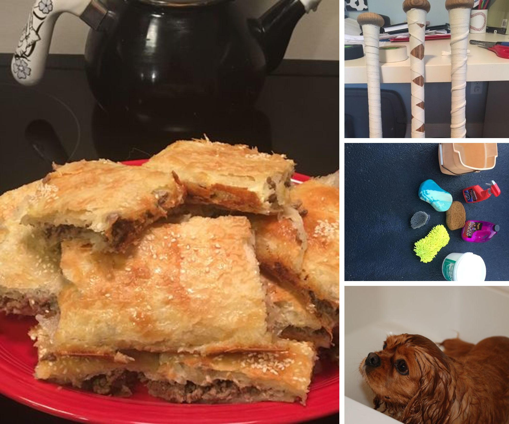 DXL - Derryfield X Learning 2016-2017, Batch 1