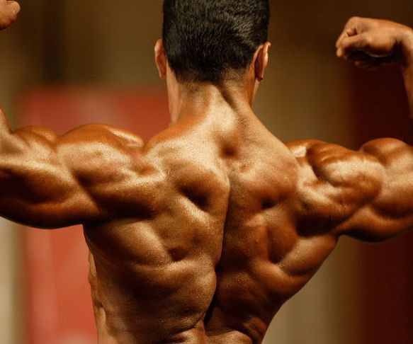 A Beginner's Guide to Back and Bicep Training