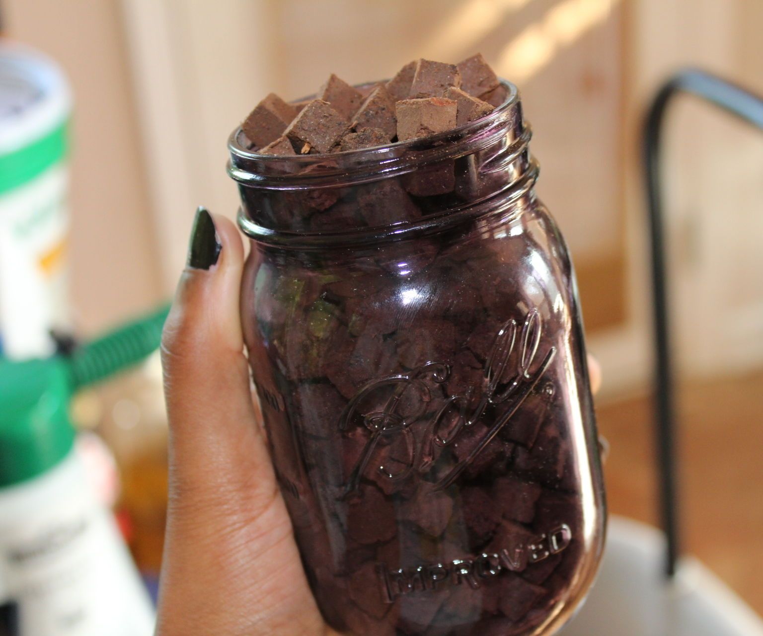 Homemade Pelleted Seeds