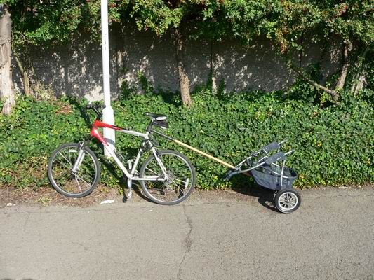 Bike Trailer
