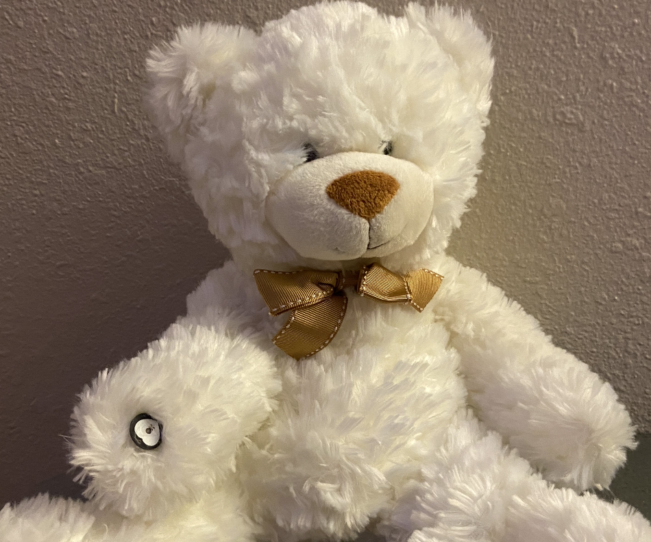 Pulse Sensor Teddy Bear
