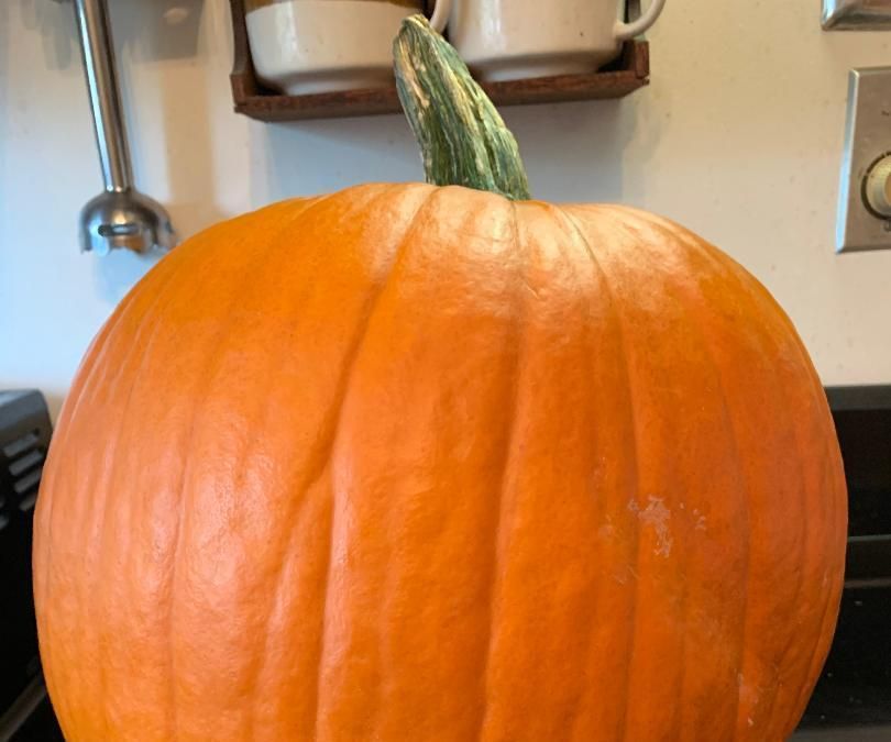 Let's Cook a Big Fresh Pumpkin!