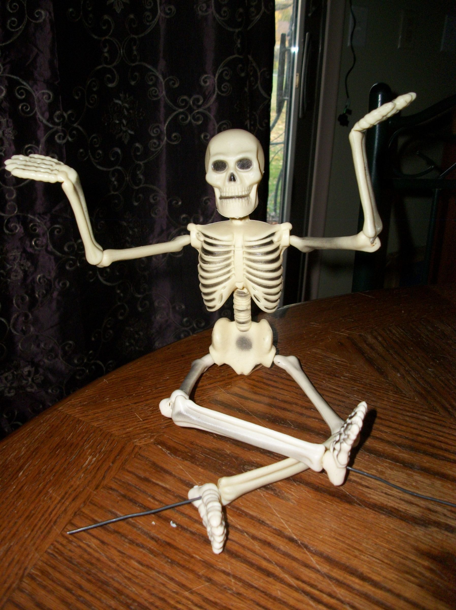 Posable Skelly