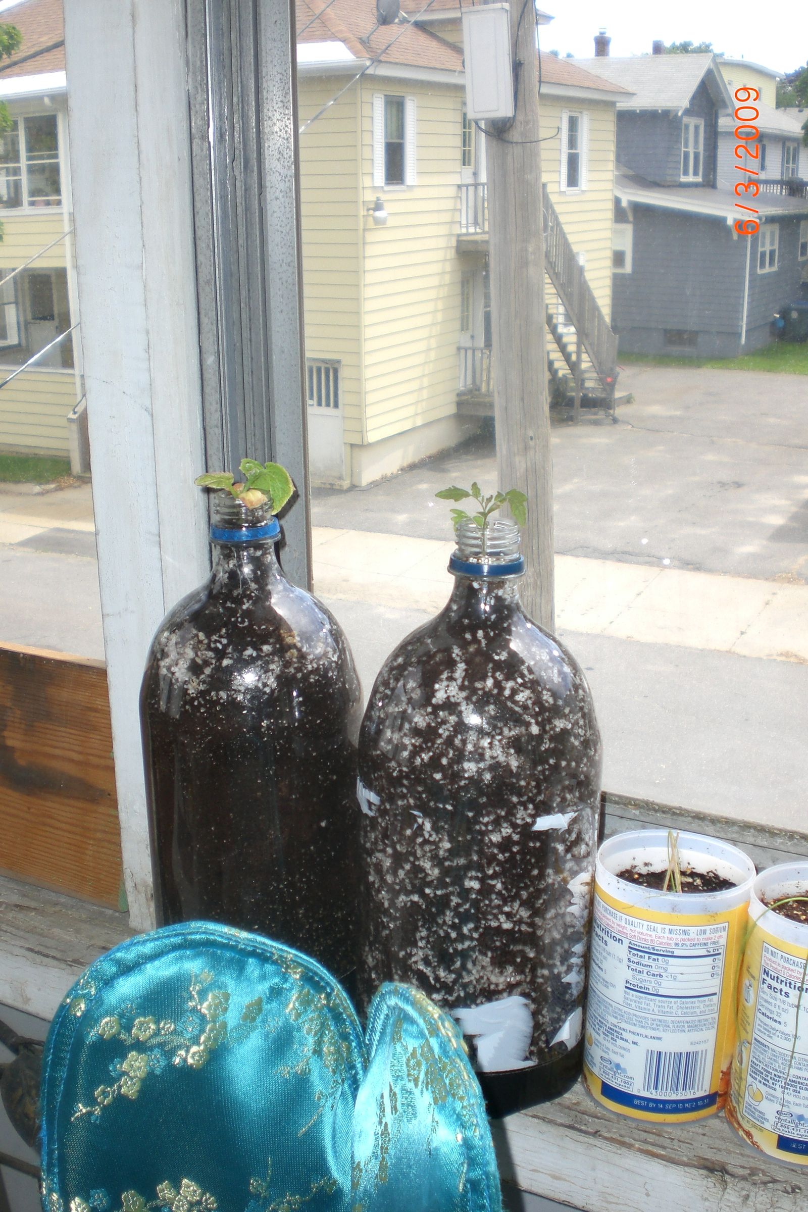 Slow Soaking Hanging Soda Bottle Planter 8 Steps Instructables