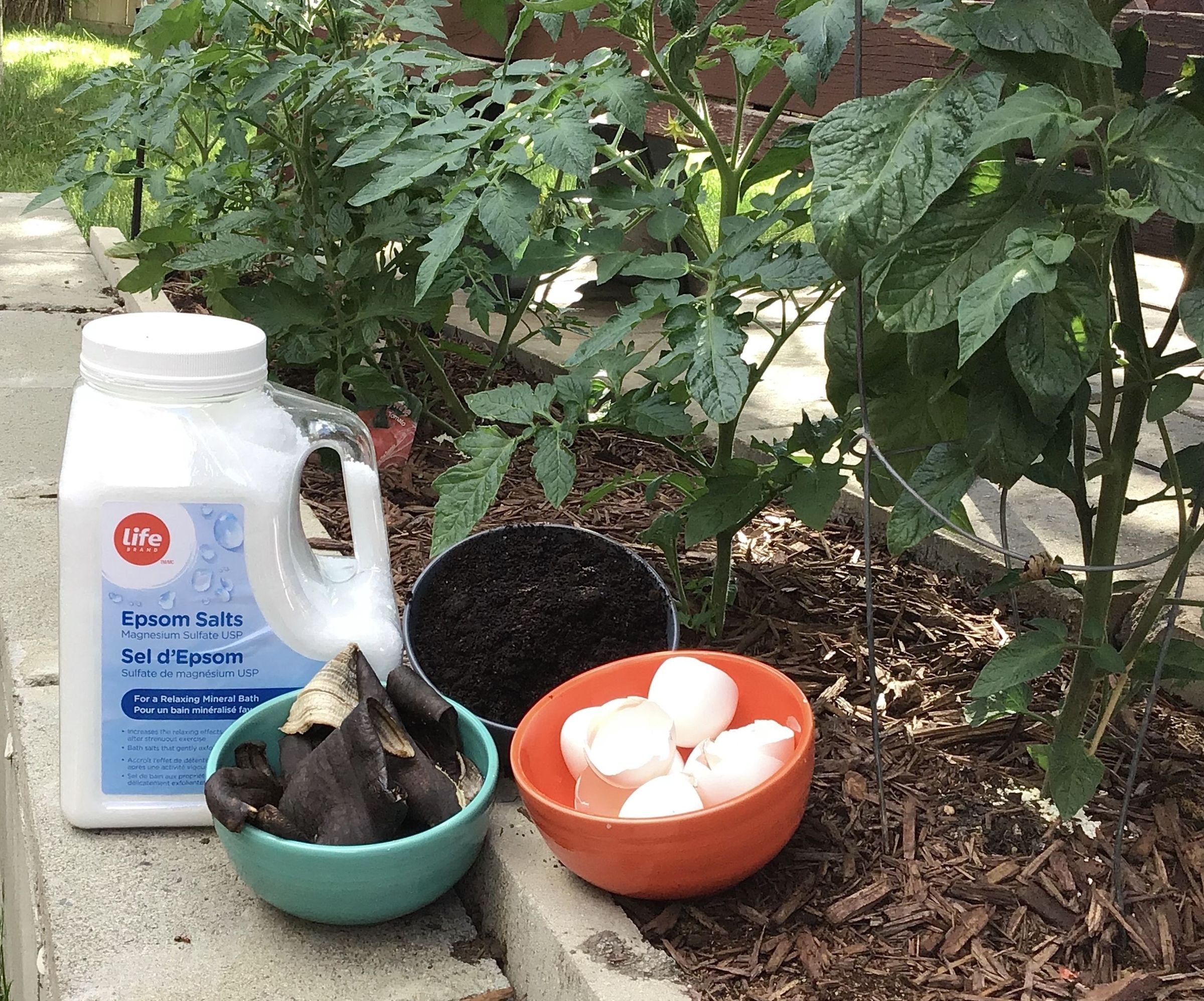 Natural Fertilizer for Your Garden From Your Kitchen