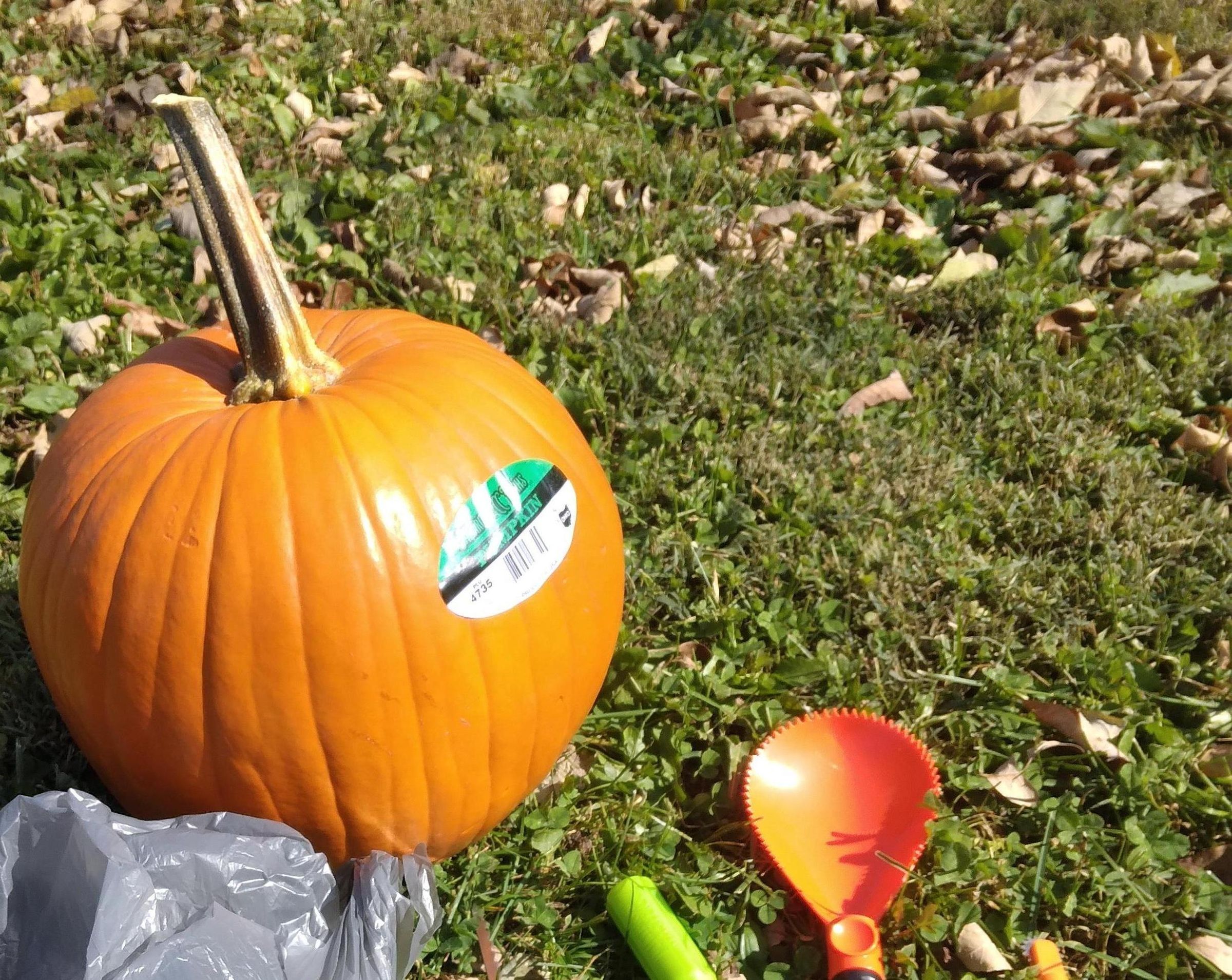 How to Carve a Pumkin