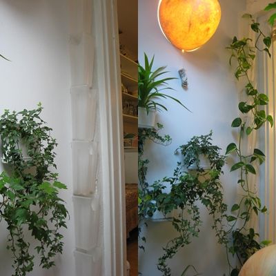 Vertical Planter Wall for Under $10