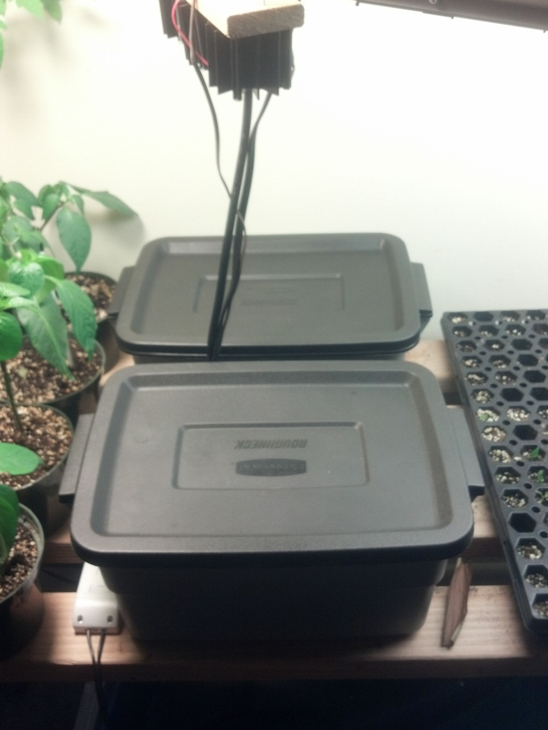 Mike's Urban Farm Adding Some Hydro Beds 4 Steps Instructables