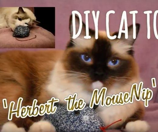 'Herbert the MouseNip' Catnip Toy for Cats