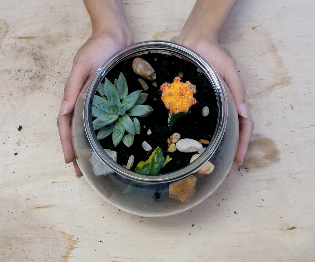 DIY Terrarium - Spring Room Decor