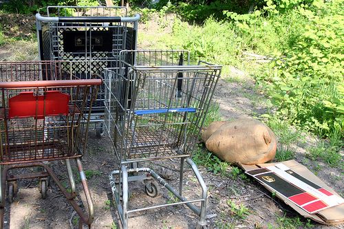 Portable Victory Garden