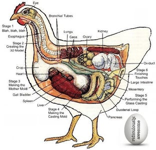 Anatomy of This Instructable