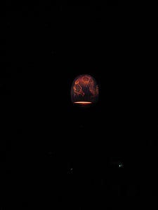 Melon Lantern Aka Chinese Lantern