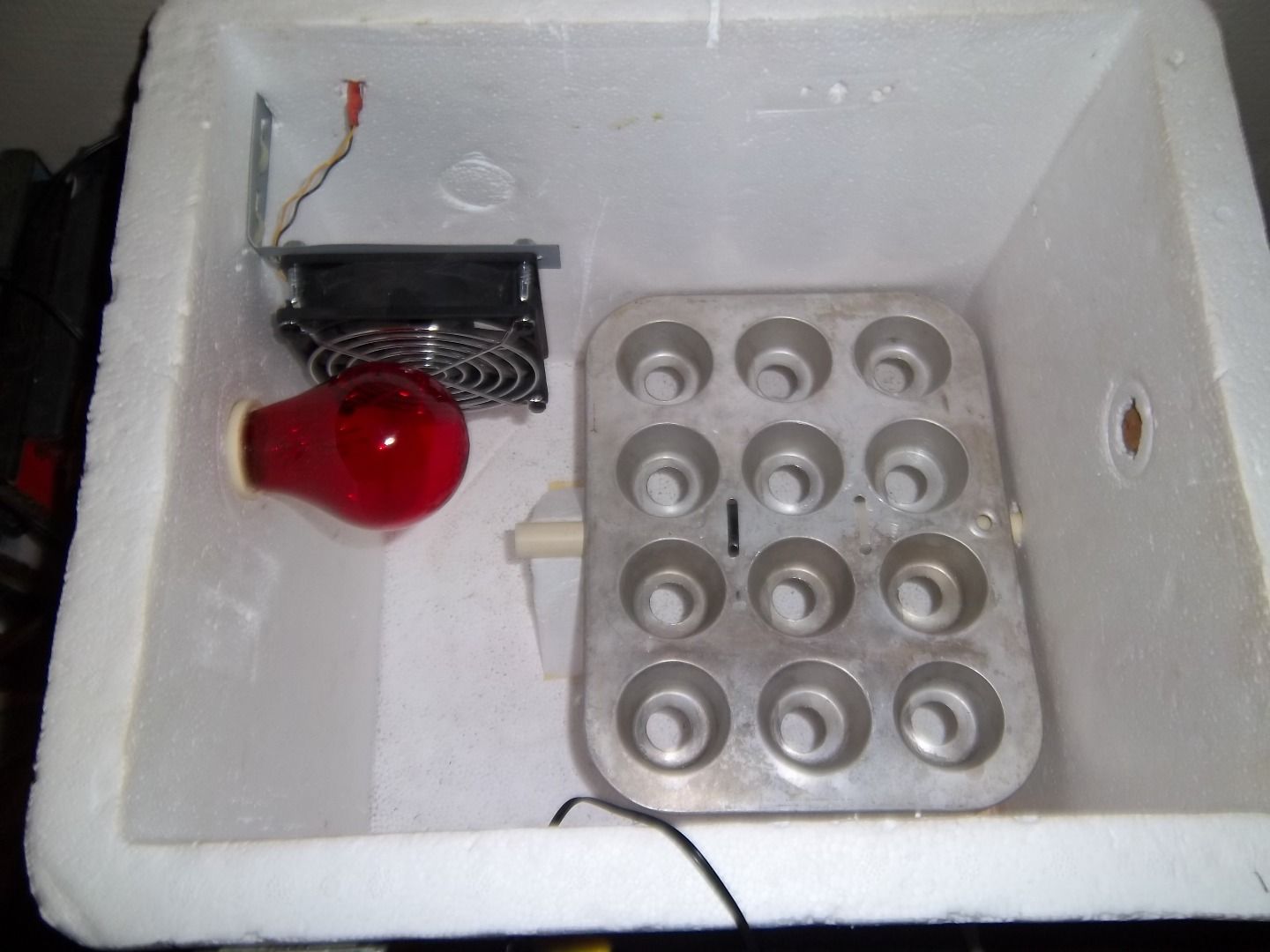 Foam Cooler Egg Incubator 8 Steps Instructables