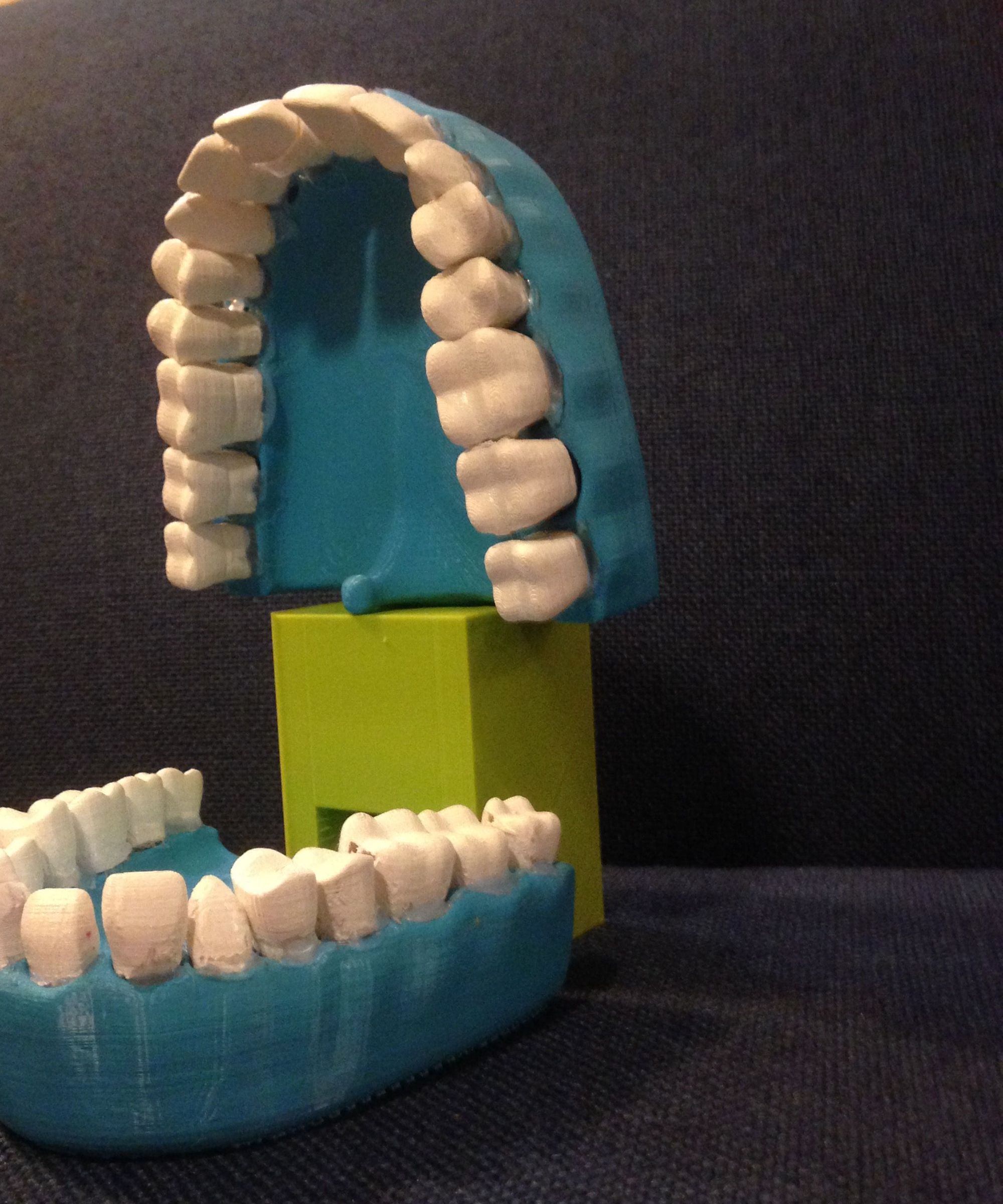Dental Health Teaching Aid