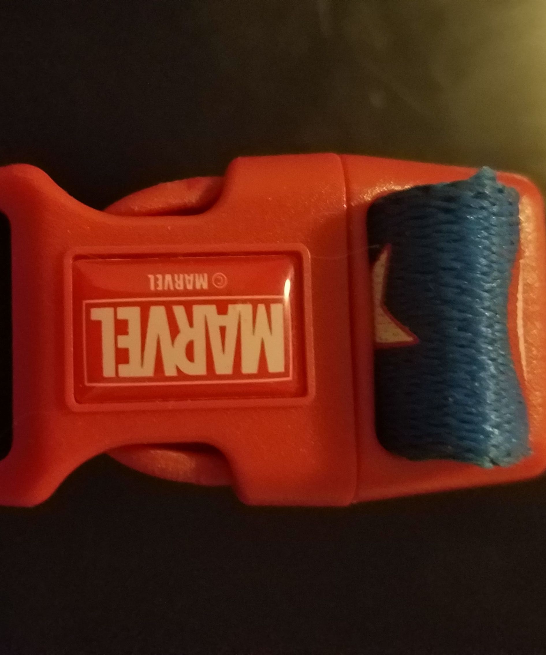  Cat Breakaway Collar From Dog Collar