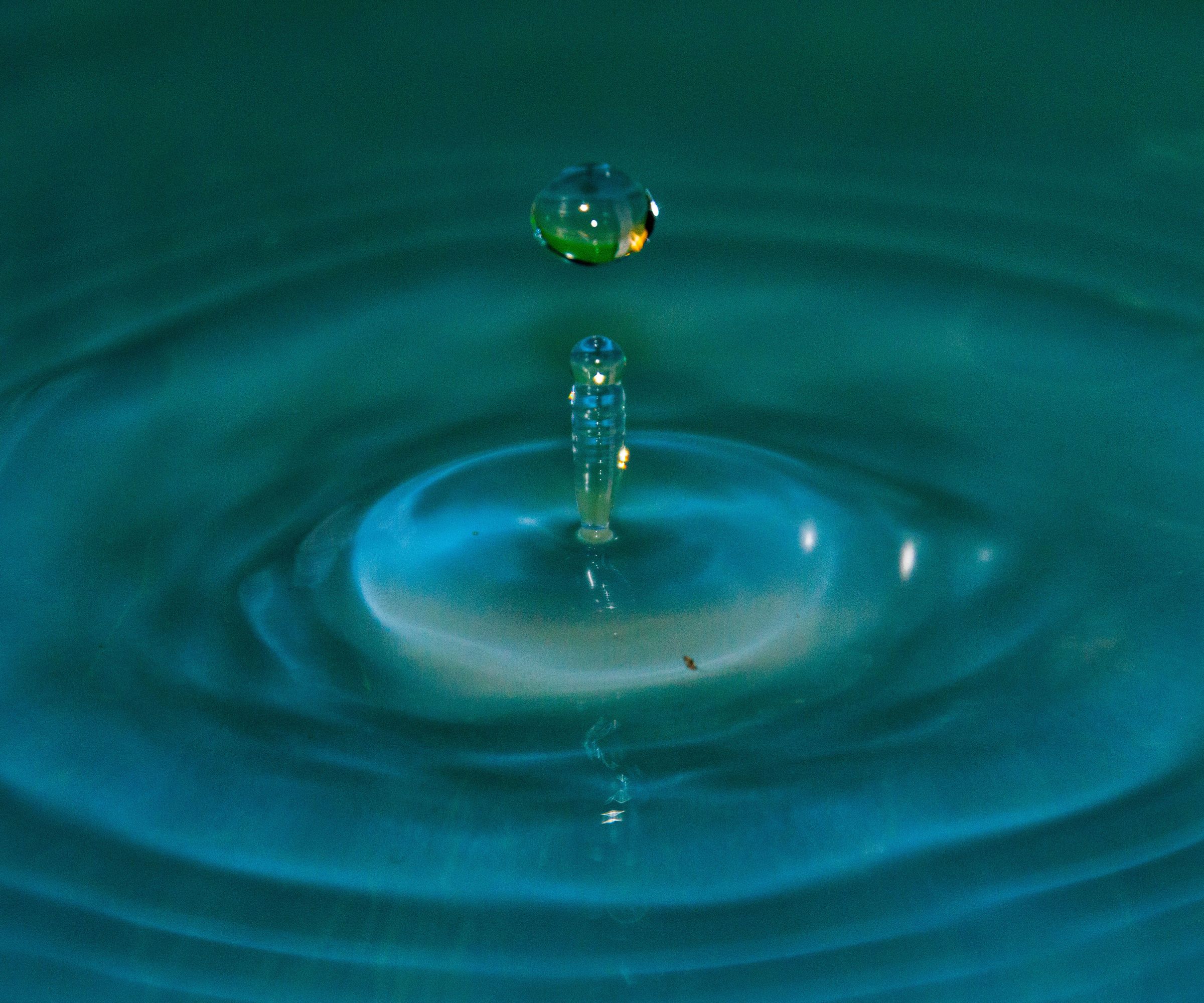 Photography: Water Droplets