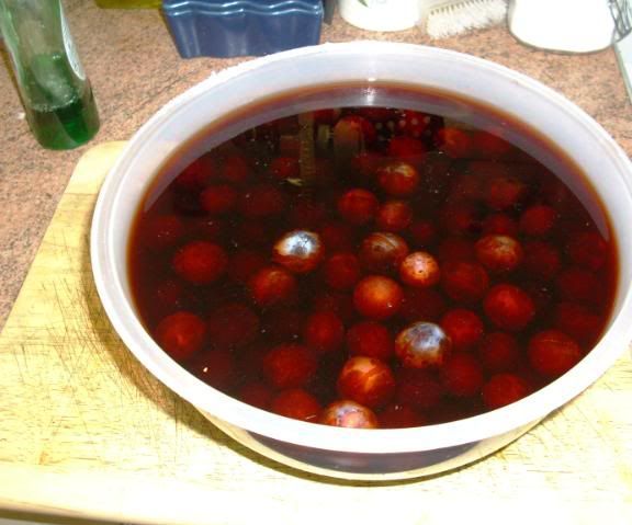 Making Fruit Vinegars; Alternative Method.