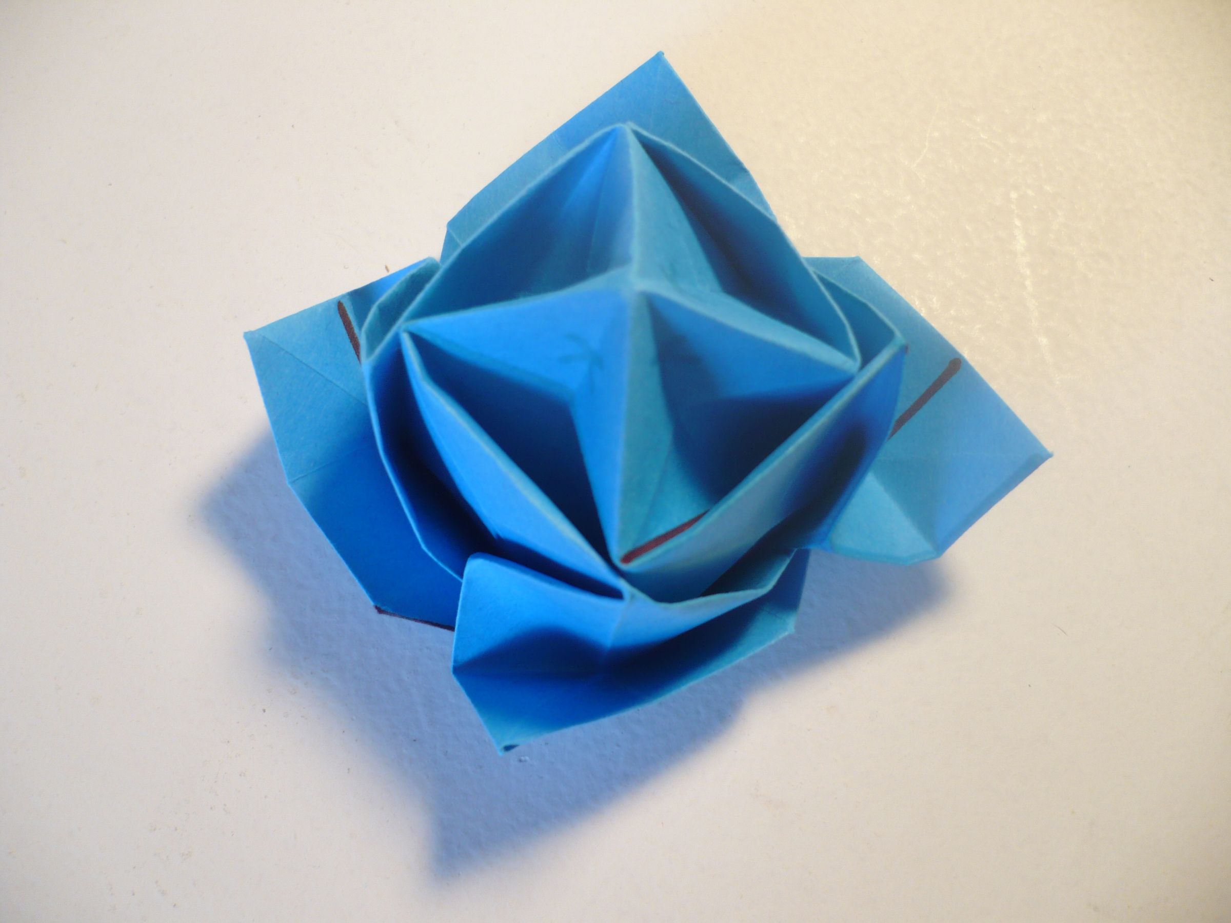 Origami Rose in Bloom 11 Steps (with Pictures) Instructables