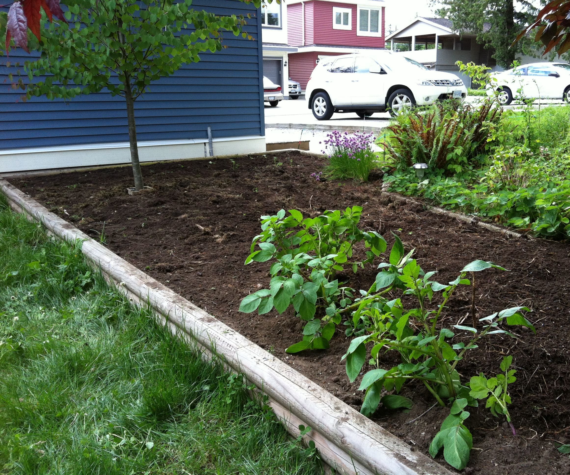 Automated Garden Watering Using Arduino