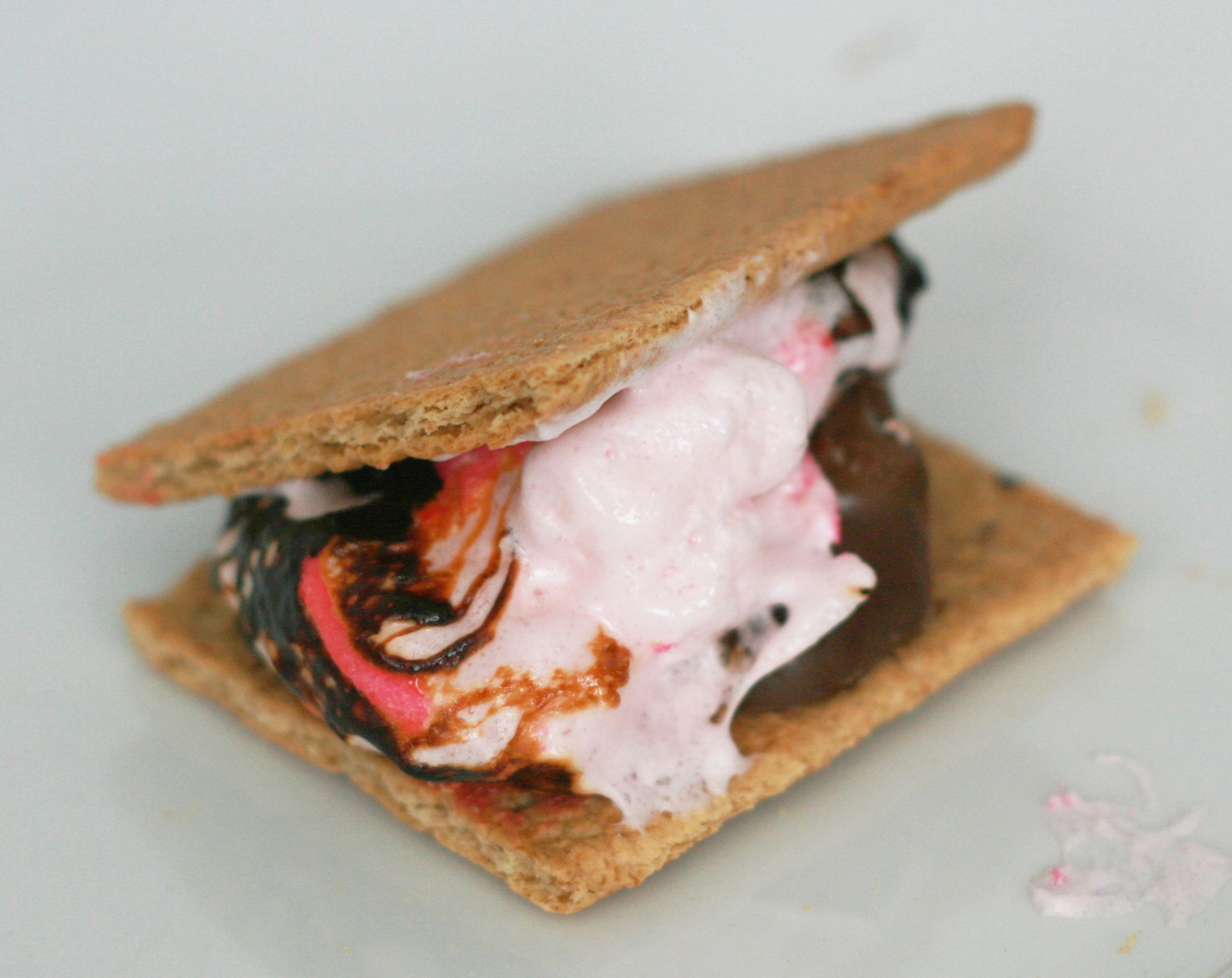 Peeps Smores : 4 Steps (with Pictures) - Instructables