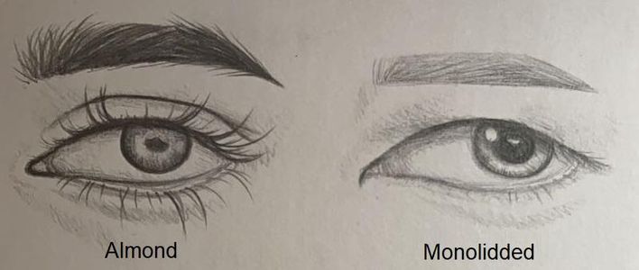 Eyes