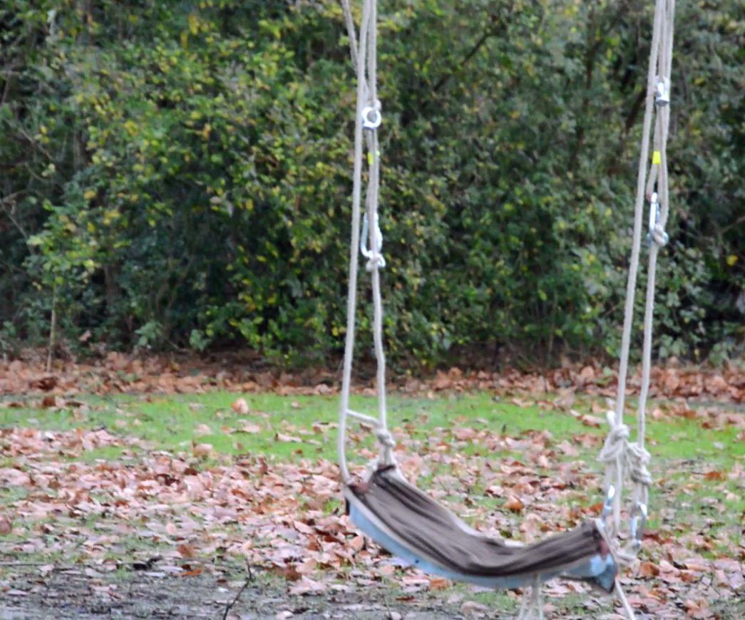Zipswing (handbag to Swing)