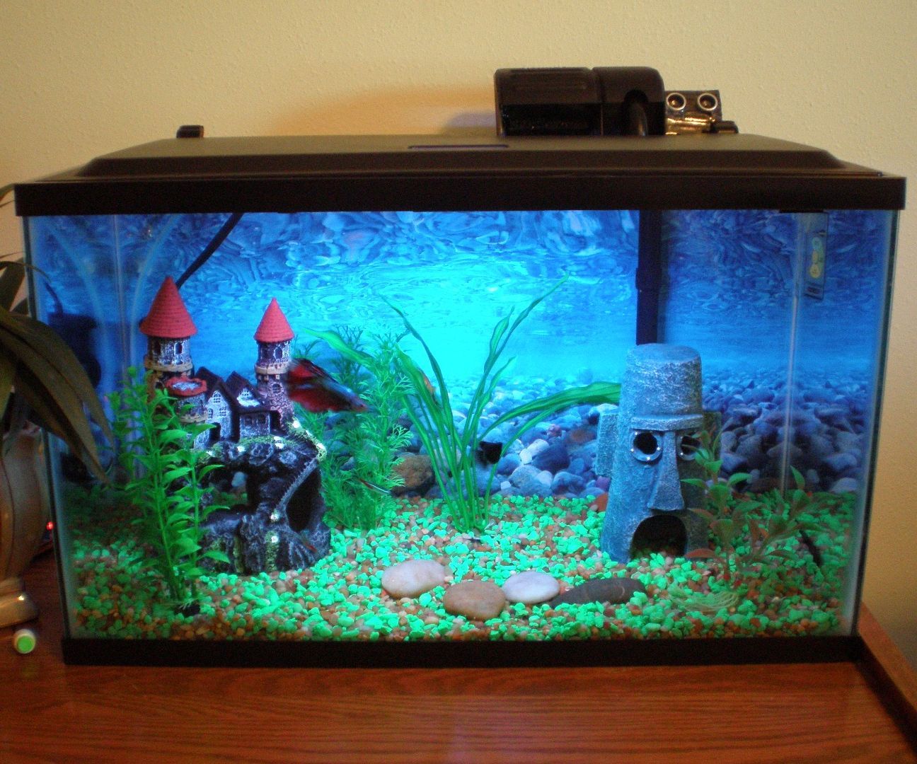 Pet Deterrent - keep them away from those off limits areas