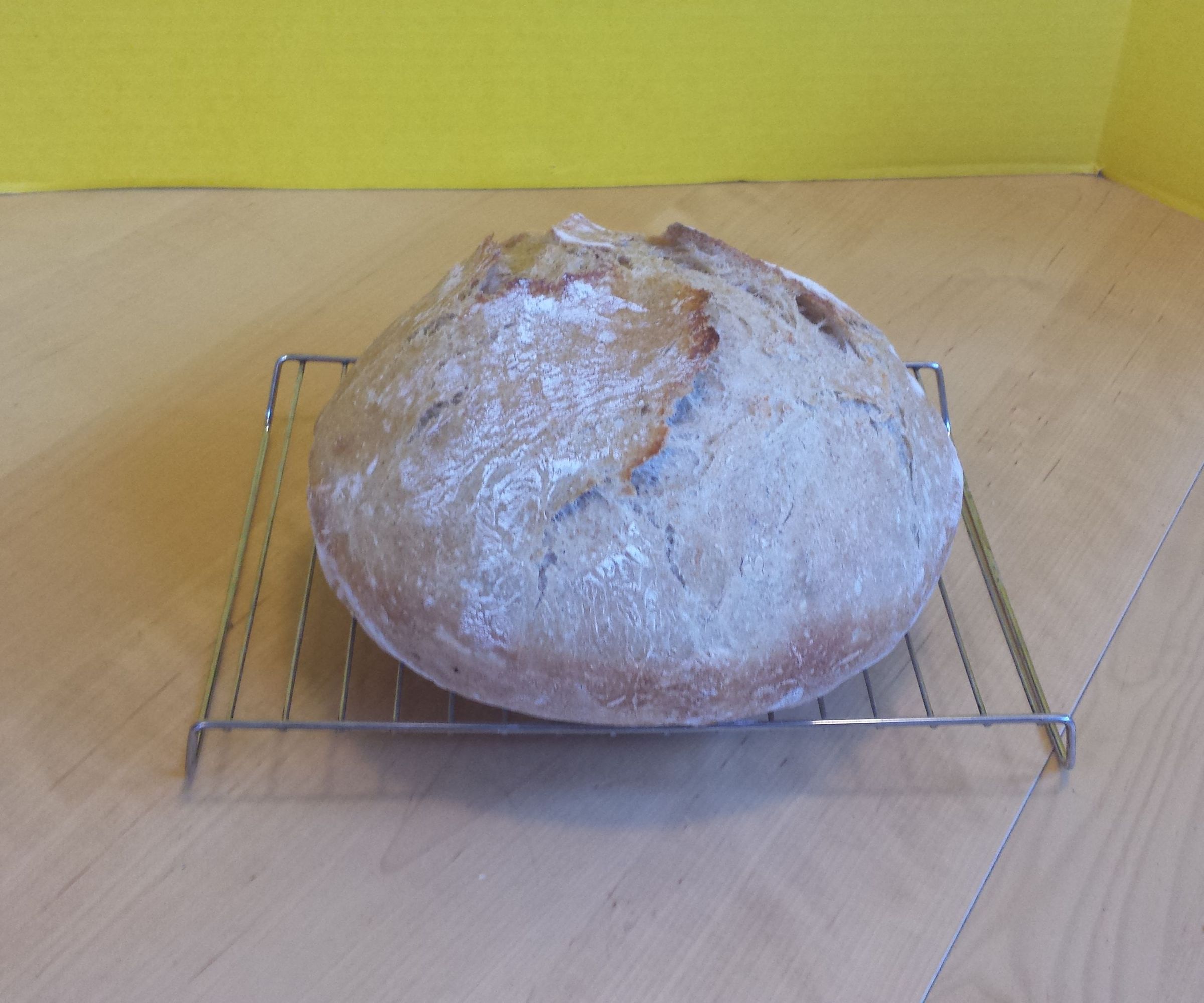 Basic French Bread Recipe