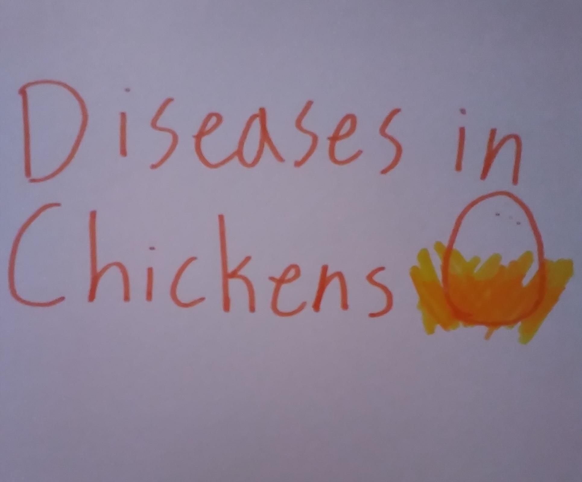 6 Common Diseases in Chickens