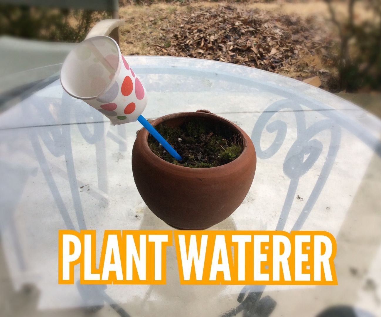 Plant Waterer
