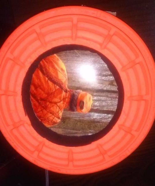 Clay Pigeon Picture Frames