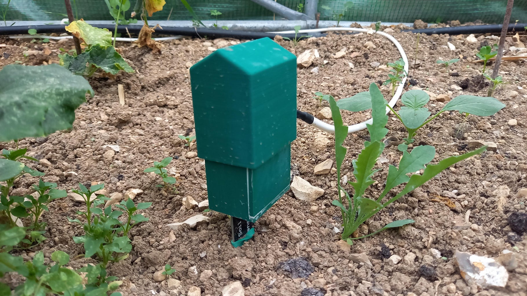 Connected Automatic Garden Watering System : 8 Steps (with Pictures ...