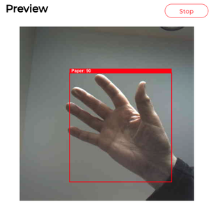 Flash Pretrained Gesture Detection Model