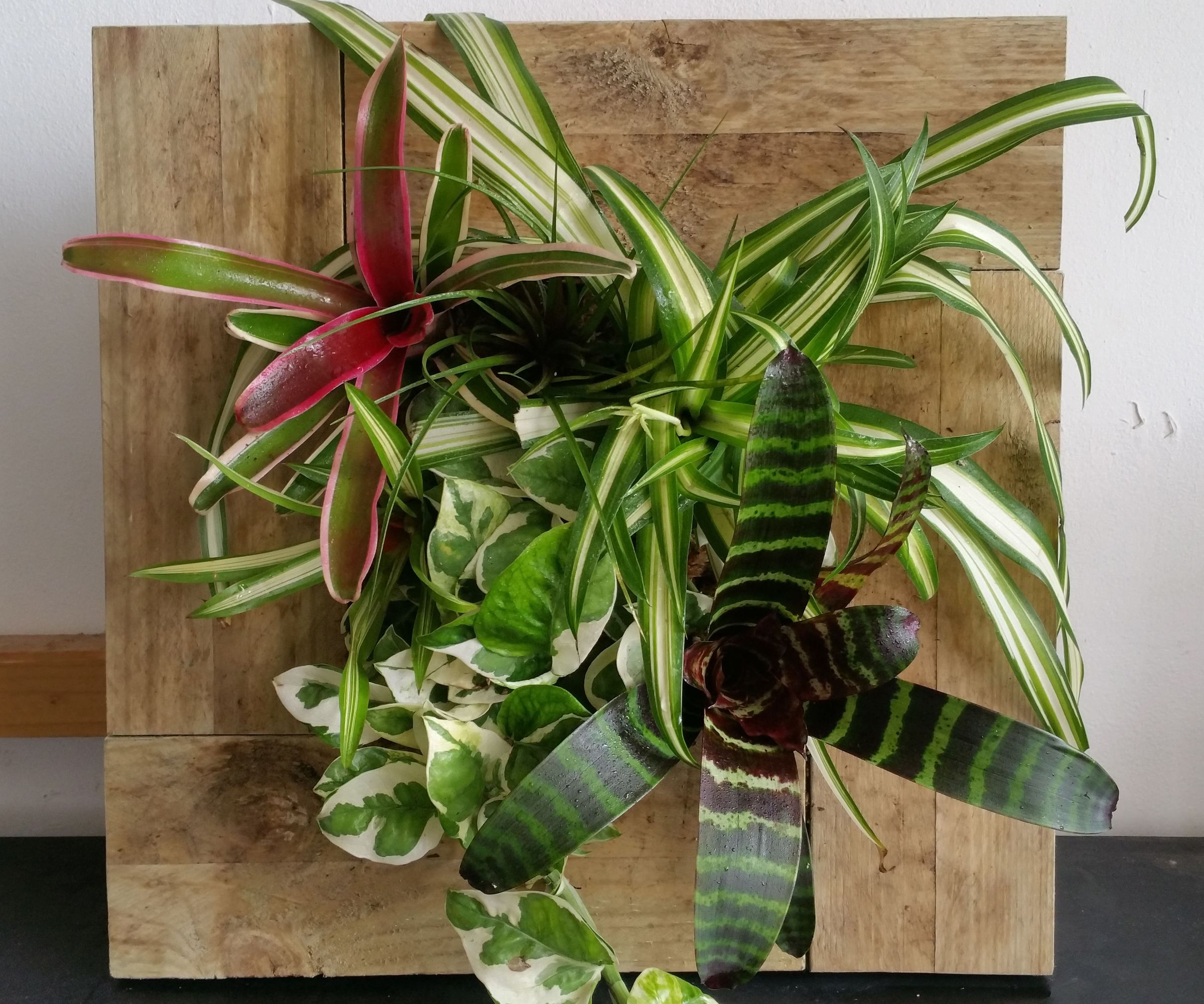 Upcycled Picture Frame Planter