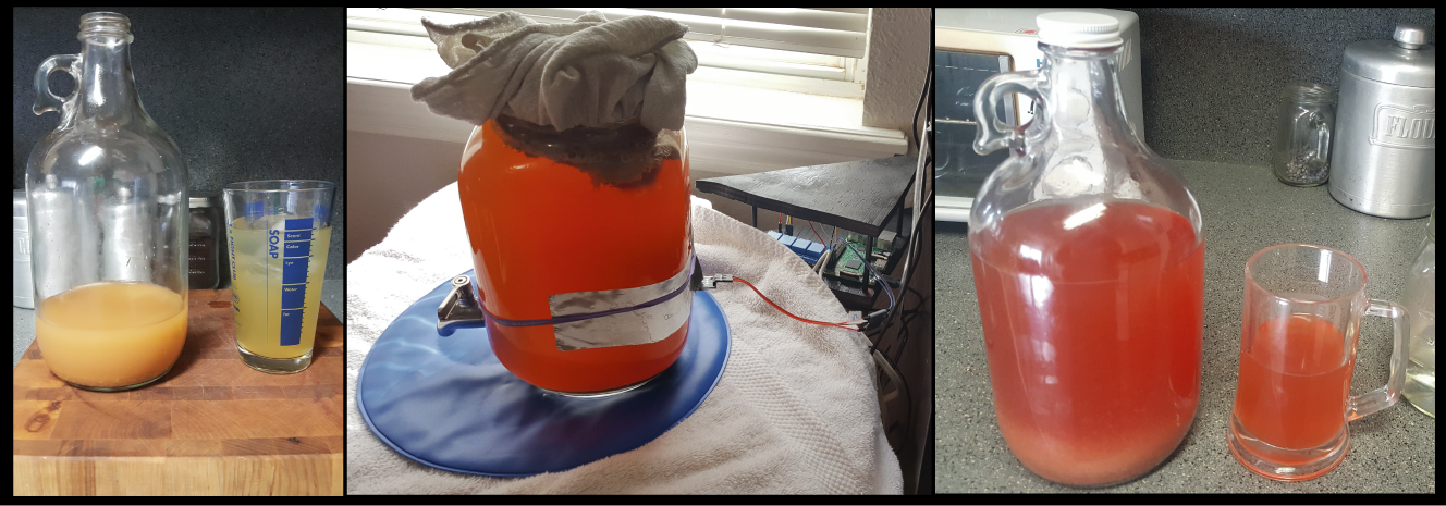 AutoBooch — Automate Your Kombucha Brewing System With a Raspberry Pi