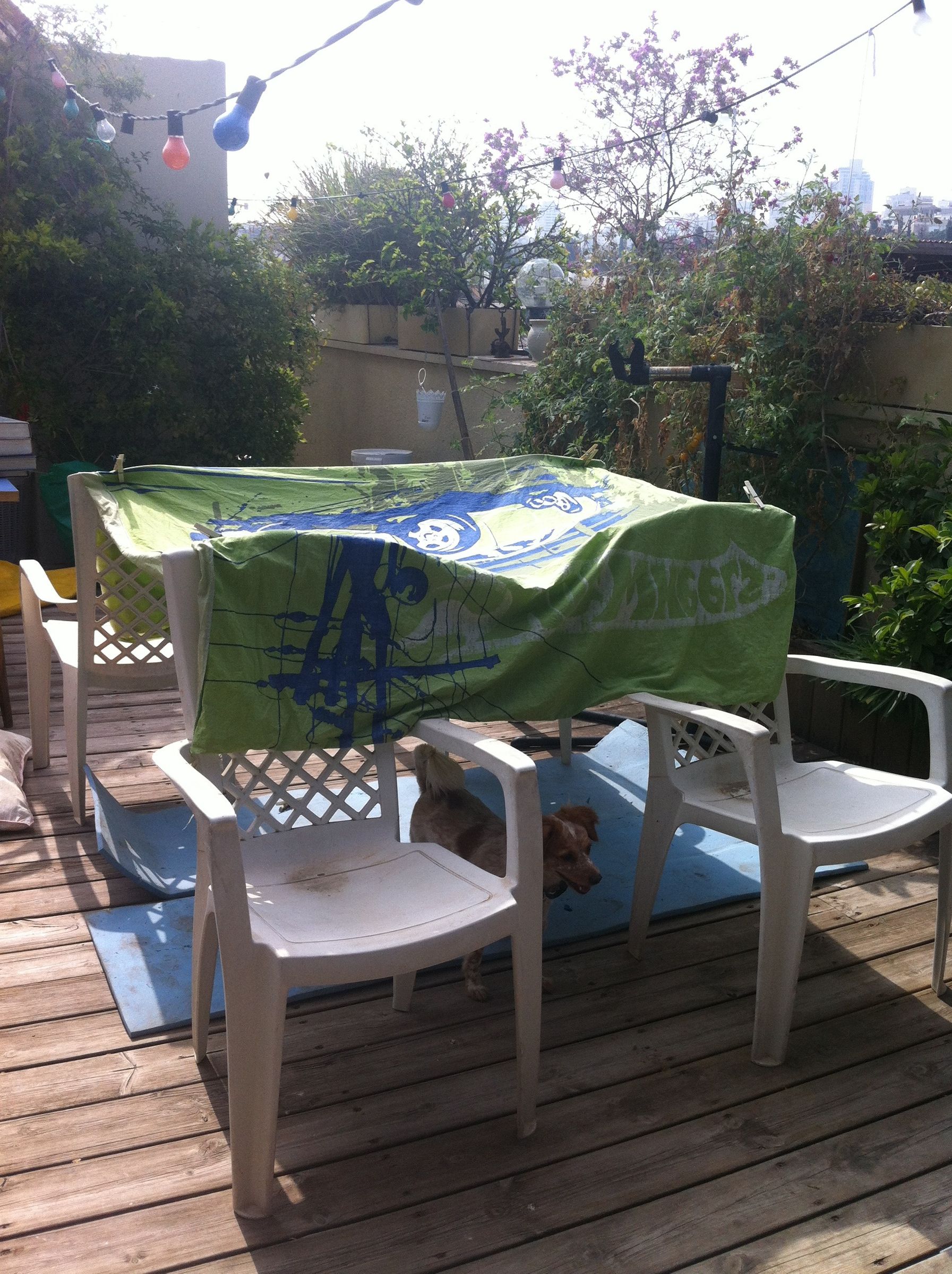 Easy Fort From House Hold Stuff