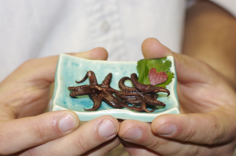 Chocolate Covered Squid - Valentine's Day Candy From the Sea
