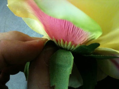 Flower Fun