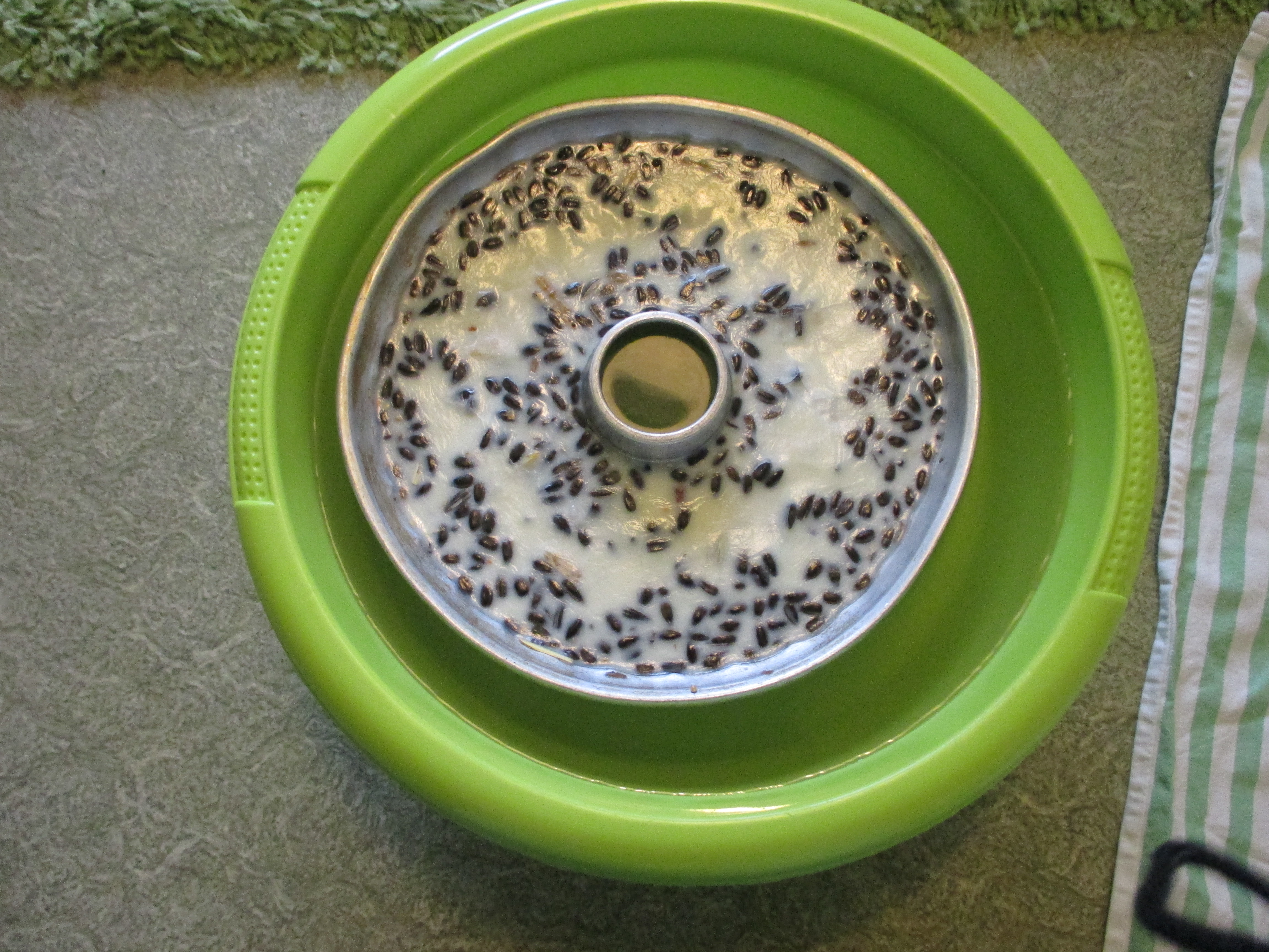 Bird Seed Cake 4 Steps (with Pictures) Instructables