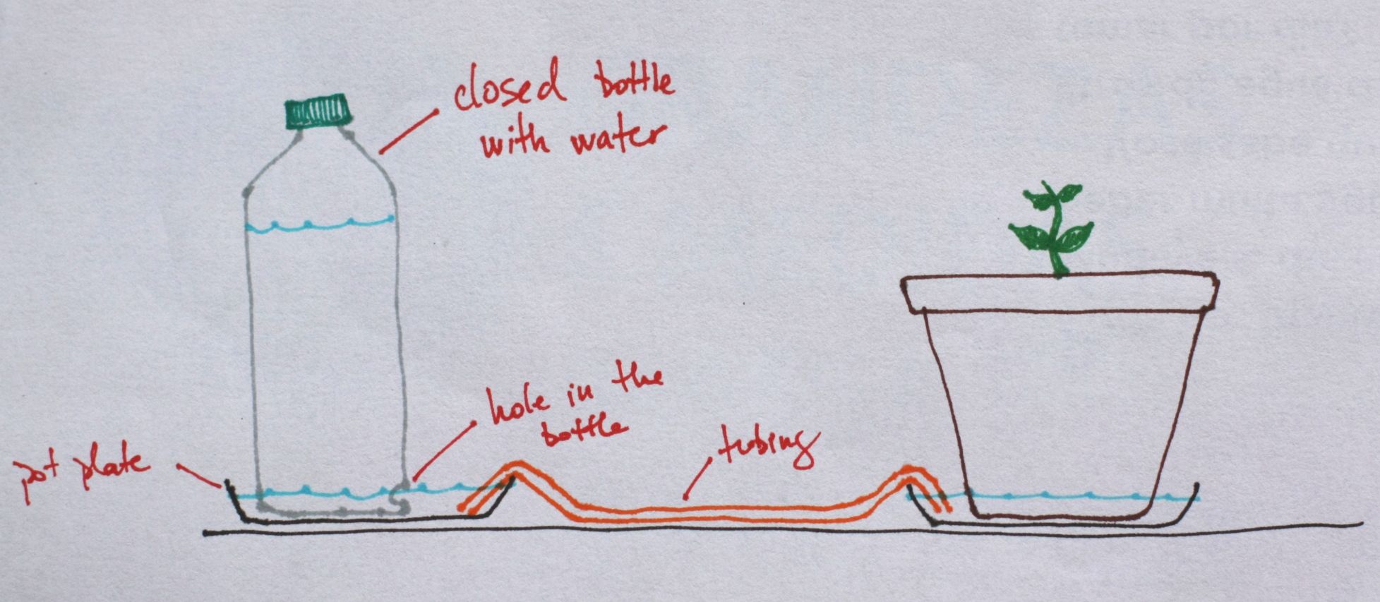 Self-regulating Watering System