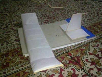 Covering the Wing and Empennage
