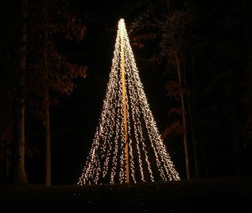 HUGE Light Christmas Tree